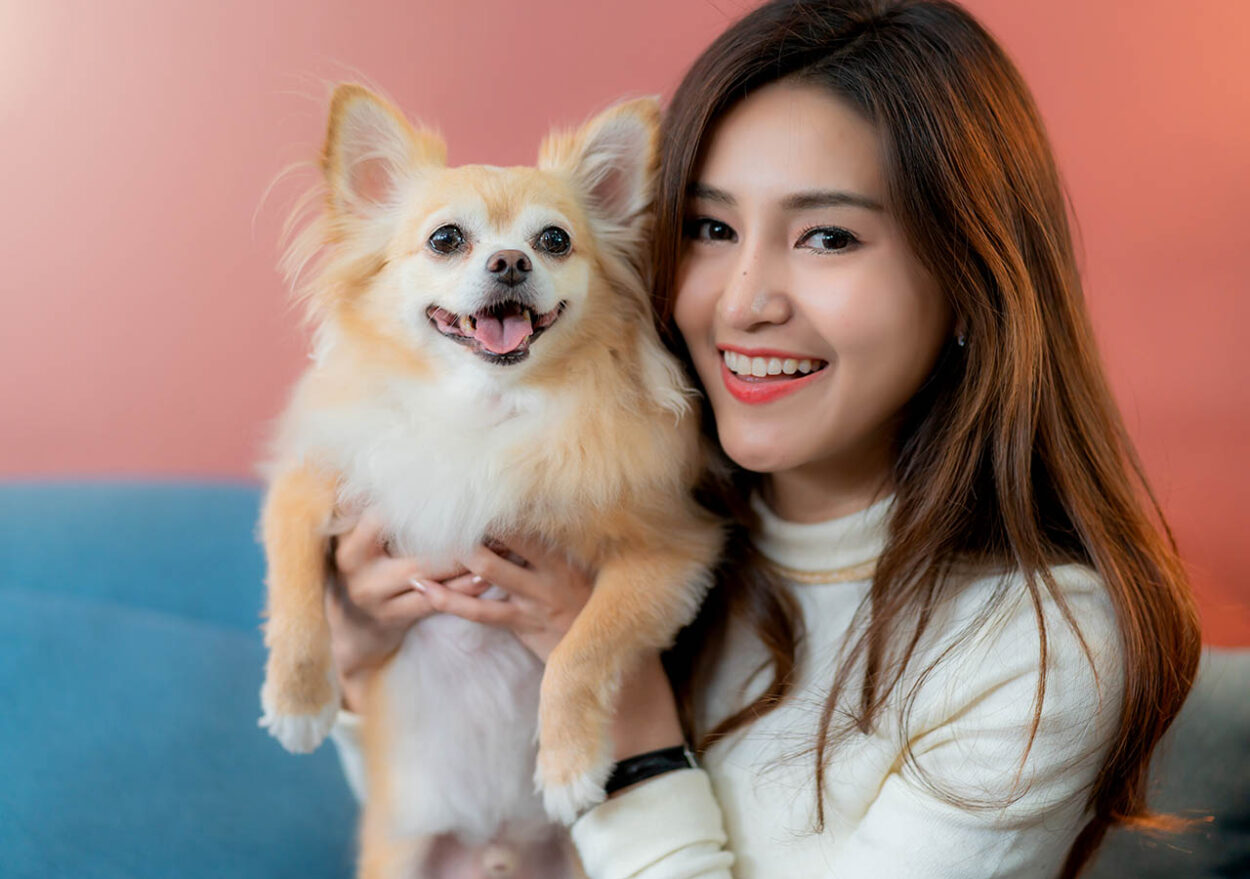 5 Tips Menjaga Kesehatan Anabul ala Royal Canin