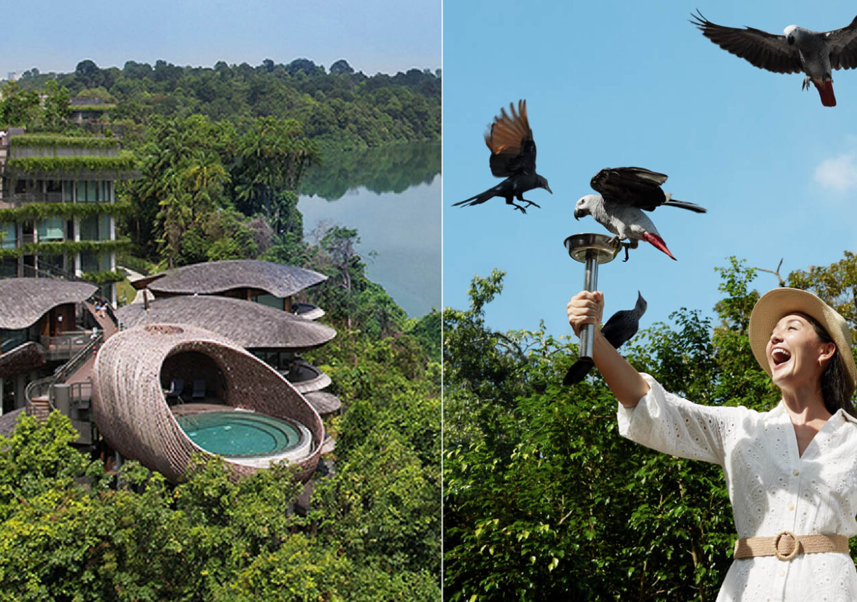 Banyan Group Rayakan Pencapaian Properti ke-100 dengan 100 Hari Perayaan Global