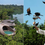 Banyan Group Rayakan Pencapaian Properti ke-100 dengan 100 Hari Perayaan Global