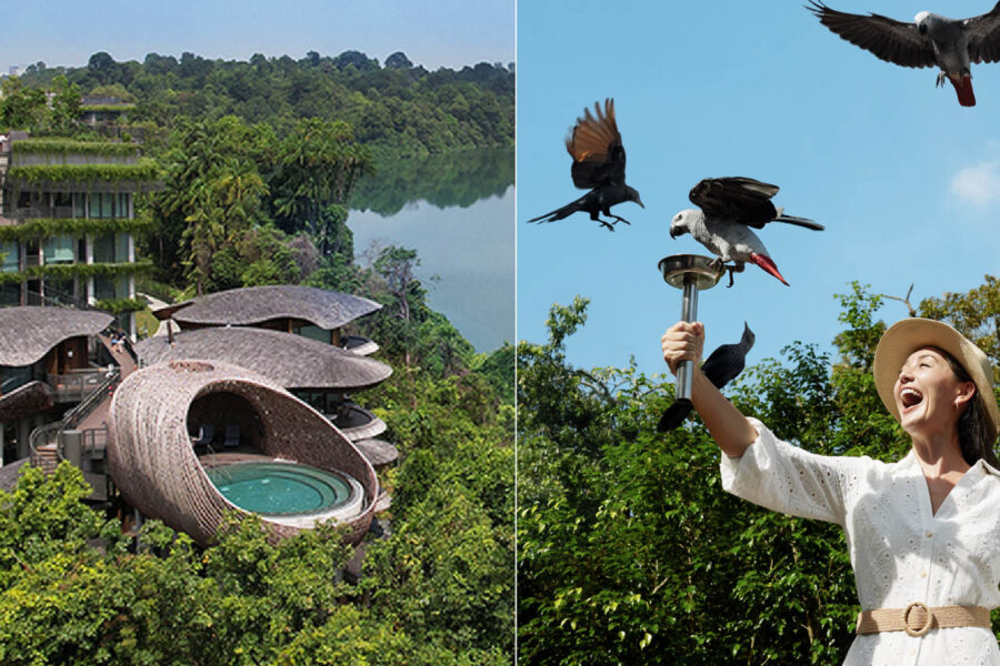 Banyan Group Rayakan Pencapaian Properti ke-100 dengan 100 Hari Perayaan Global